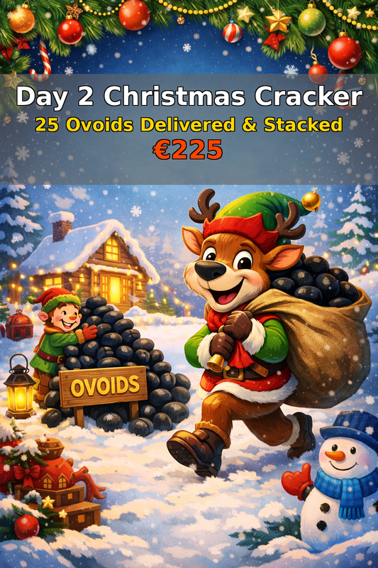 Day 2 Christmas Cracker